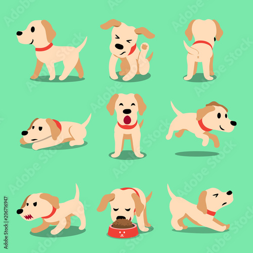 Vector cartoon character labrador dog poses