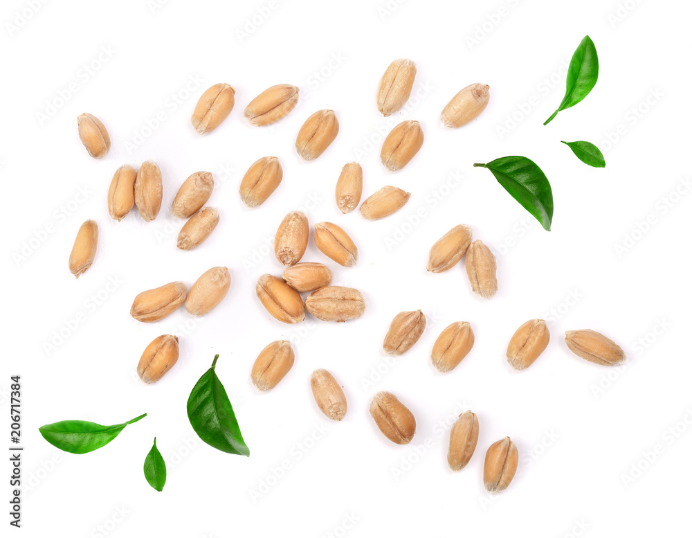 wheat grains decorated with green leaves isolated on white background. Top view wheat grains decorated with green leaves isolated on white background. Top view