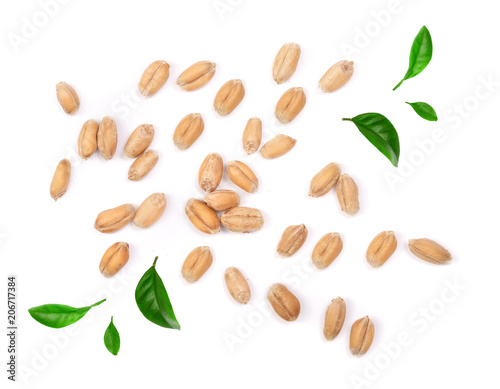 wheat grains decorated with green leaves isolated on white background. Top view