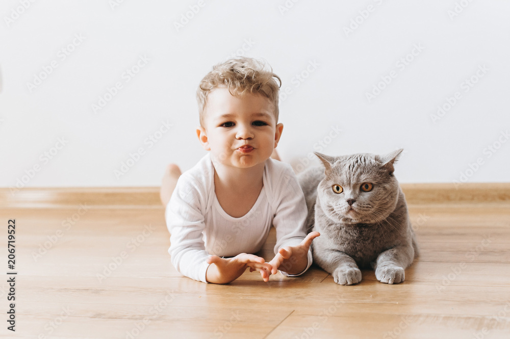 adorable toddler boy and grey british shorthair cat lying on floor together at home - obrazy, fototapety, plakaty 