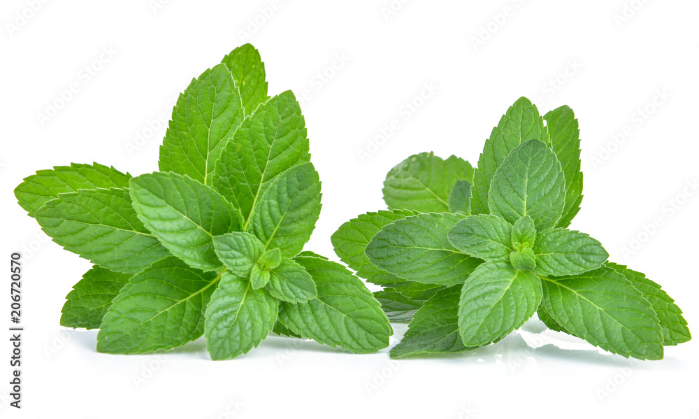 Fresh mint leaves isolated on white Fresh mint leaves isolated on white