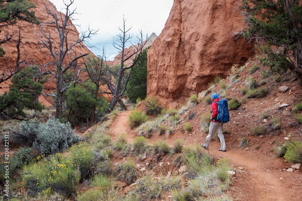 Hiker in Kodachrome Basin state park in Utah, USA