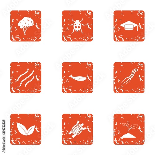 Agroecological icons set. Grunge set of 9 agroecological vector icons for web isolated on white background