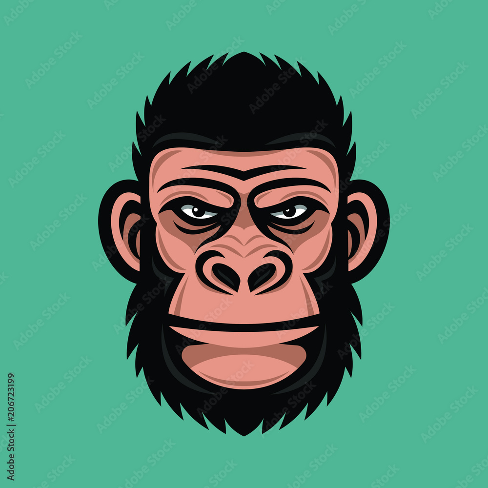 Head monkey illustration Head monkey illustration