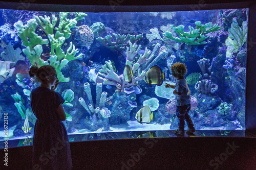 Family observing fish at the aquarium photo