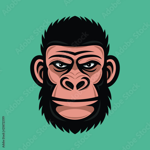 Head monkey illustration