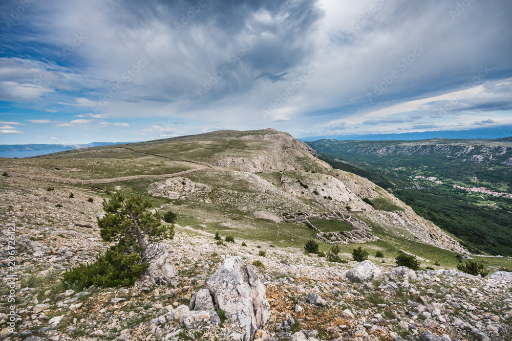 A view towards Mrgar, a sheepfold in a shape of flower, in the karst landscape above Baska, Island of Krk, Croatia  