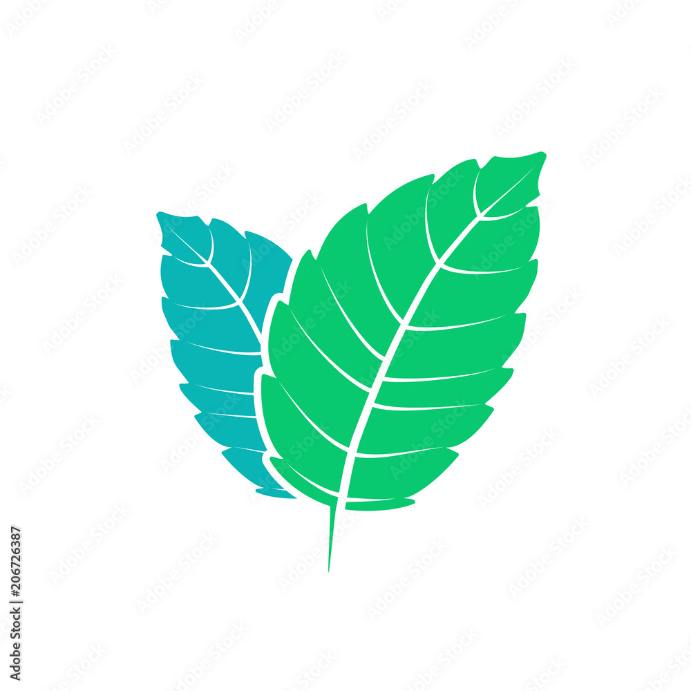 Fresh mint leaf. Vector menthol healthy aroma. Herbal nature plant. Spearmint green leafs flat Fresh mint leaf. Vector menthol healthy aroma. Herbal nature plant. Spearmint green leafs flat