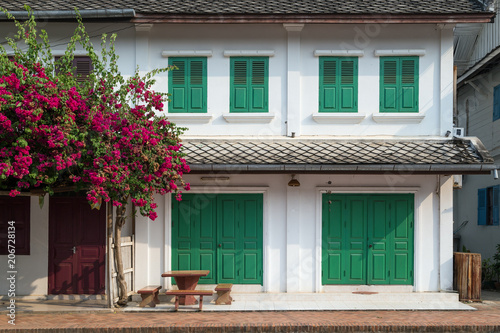 Flowering tree and old French colonial era building at the old town in Luang Prabang  Laos  on a sunny day.