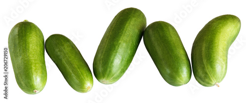 group of short cucumbers isolated on white background
