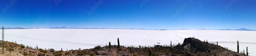 Salar de Uyuni view from Isla Incahuasi Salar de Uyuni view from Isla Incahuasi