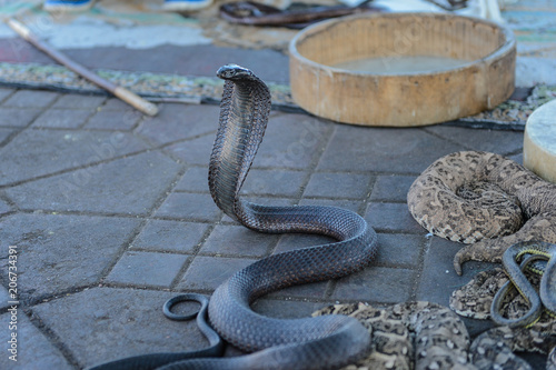 Marrakech , Morocco