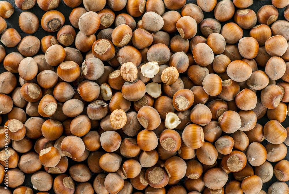 top view over a pile of raw hazelnuts top view over a pile of raw hazelnuts