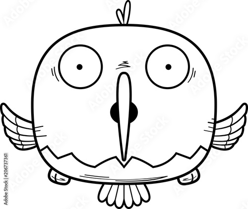 Surprised Little Hummingbird