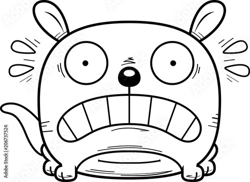 Terrified Little Kangaroo