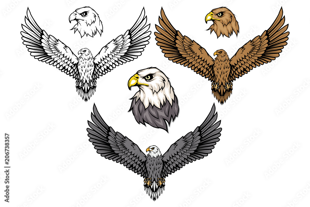 Fototapeta premium Zestaw orła amerykańskiego. Logo orła bielika. Rysunek dzikich ptaków. Głowa orła. Grafiki wektorowe do projektowania.