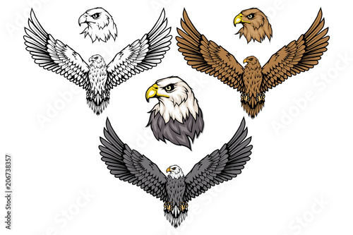 American eagle set. Bald eagle logo. Wild birds drawing. Head of an eagle. Vector graphics to design. photo