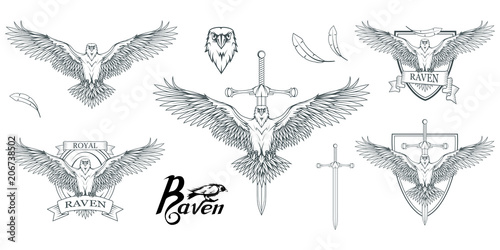 Set of different carrion-crows. Hand drawn of the raven. Wild birds drawing. Raven logo. Vector graphics to design.