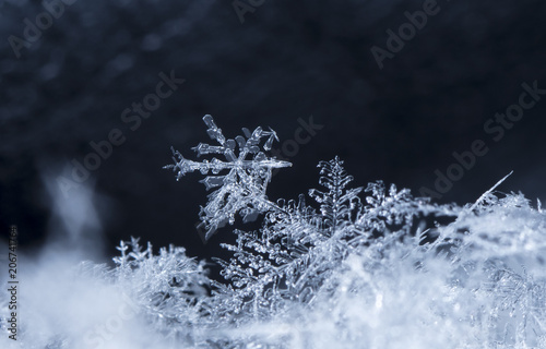 snowflake, little snowflake on the snow © vadim_fl