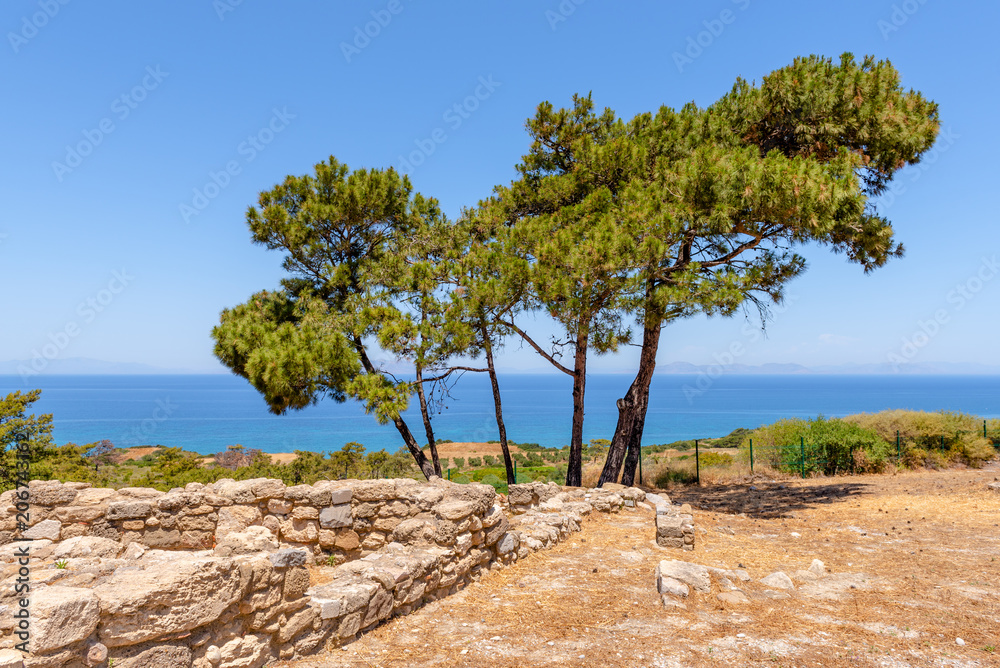 Ancient ruins with tree overlloking sea in city of Kamiros located in the northwest of the island of Rhodes.