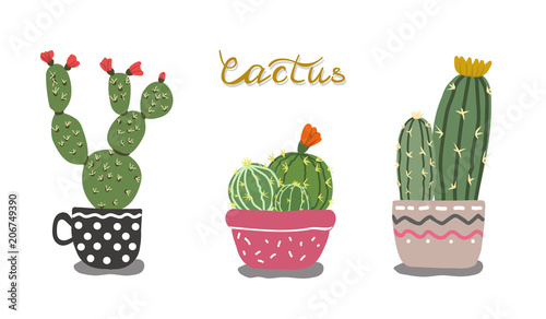 Vector image of cactus in flowerpots in hand drawn style.