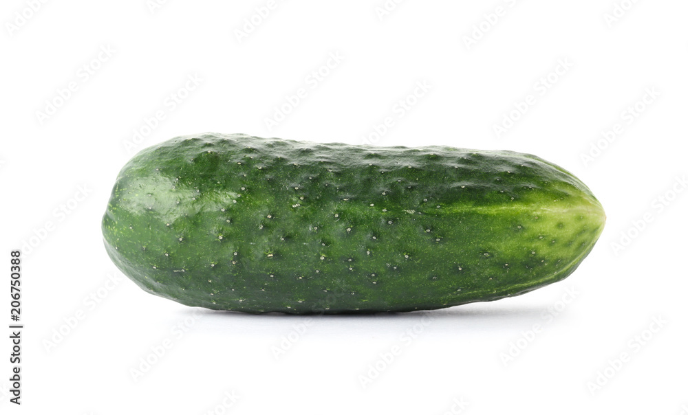 Fresh green cucumber on white background Fresh green cucumber on white background