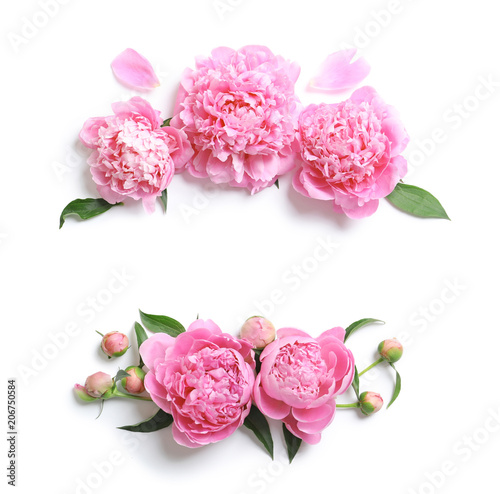 Beautiful fragrant peony flowers on white background © New Africa