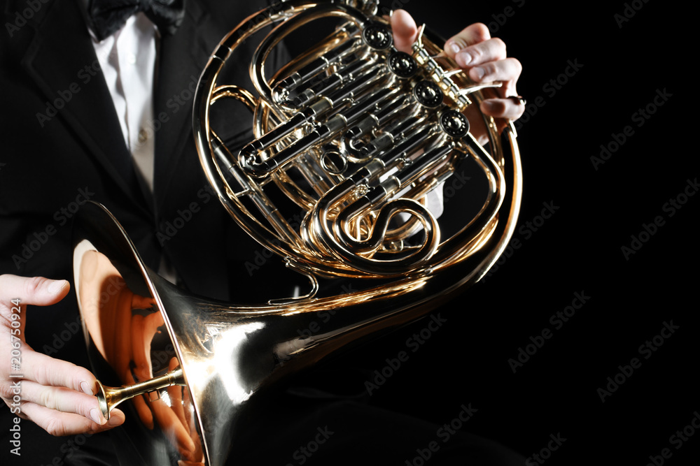 Fototapeta premium French horn player hands. Hornist playing horn
