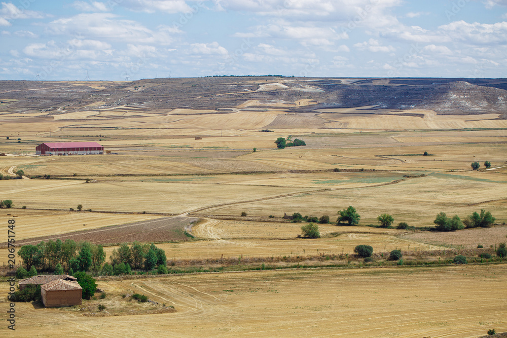 Fototapeta premium Beautiful natural landscape