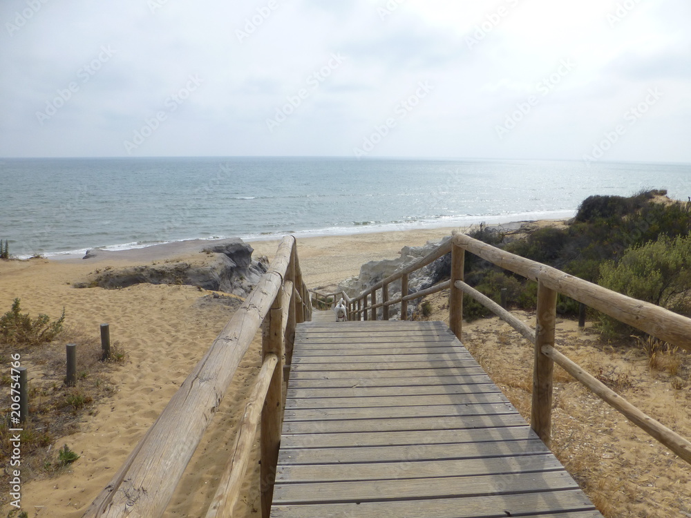 Parque Doñana zona Playa Cuesta Maneli en Huelva, zona costera con playa de arena fina blanca que forma parte del Parque de Doñana