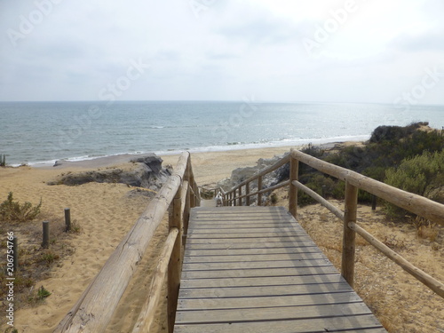 Parque Do  ana zona Playa Cuesta Maneli en Huelva  zona costera con playa de arena fina blanca que forma parte del Parque de Do  ana