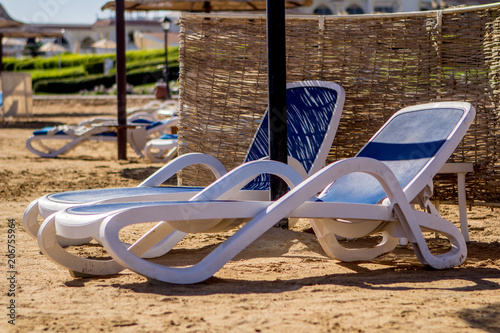 empty blue sunbeds on the beach