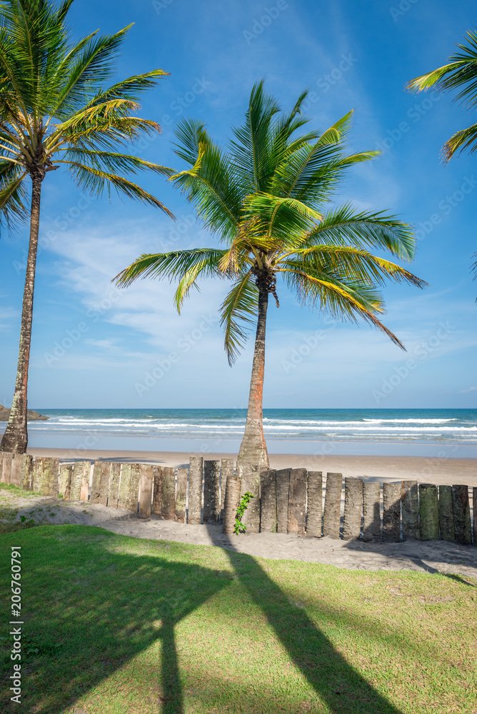 Rich beach vegetation in Itacare at the Bahia Rich beach vegetation in Itacare at the Bahia