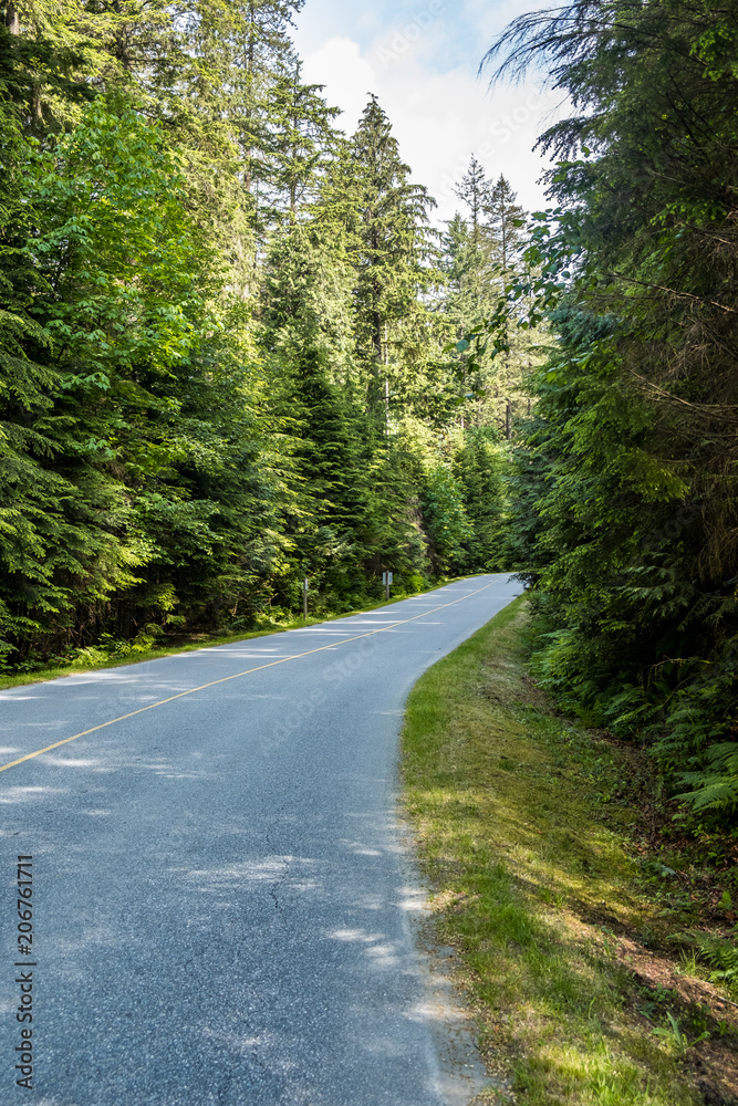 narrow highway through the forest narrow highway through the forest