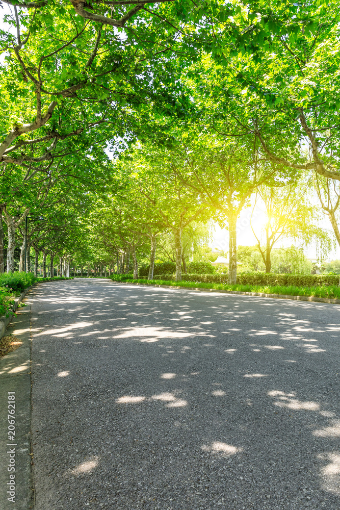 empty asphalt road and green woods,sunlight and shadows empty asphalt road and green woods,sunlight and shadows
