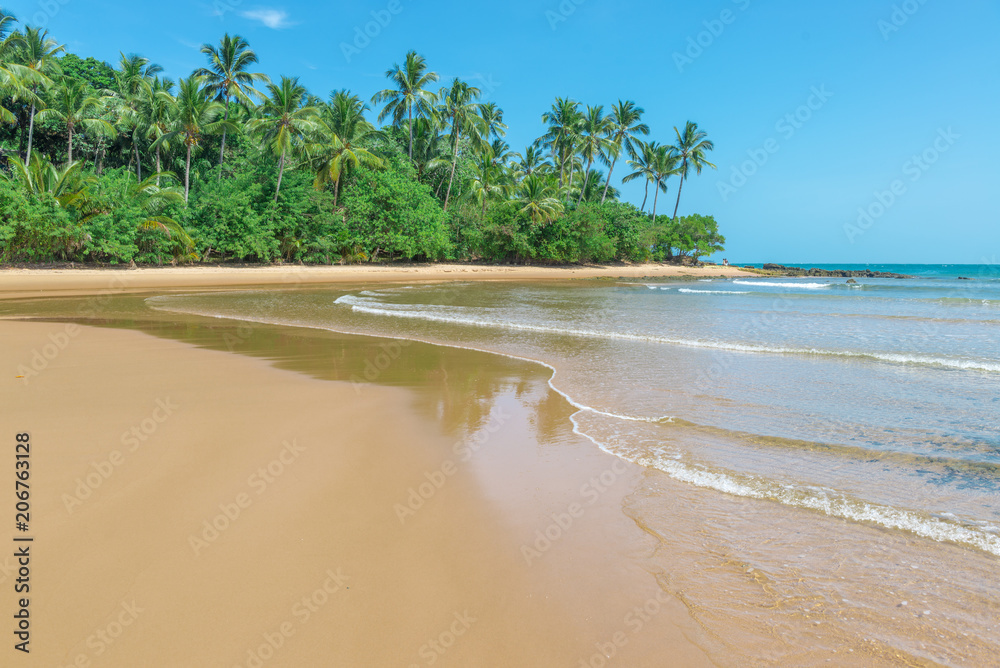 The isolated paradise beach with sunny day