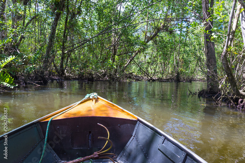 Small boat sailing on mangroves green water