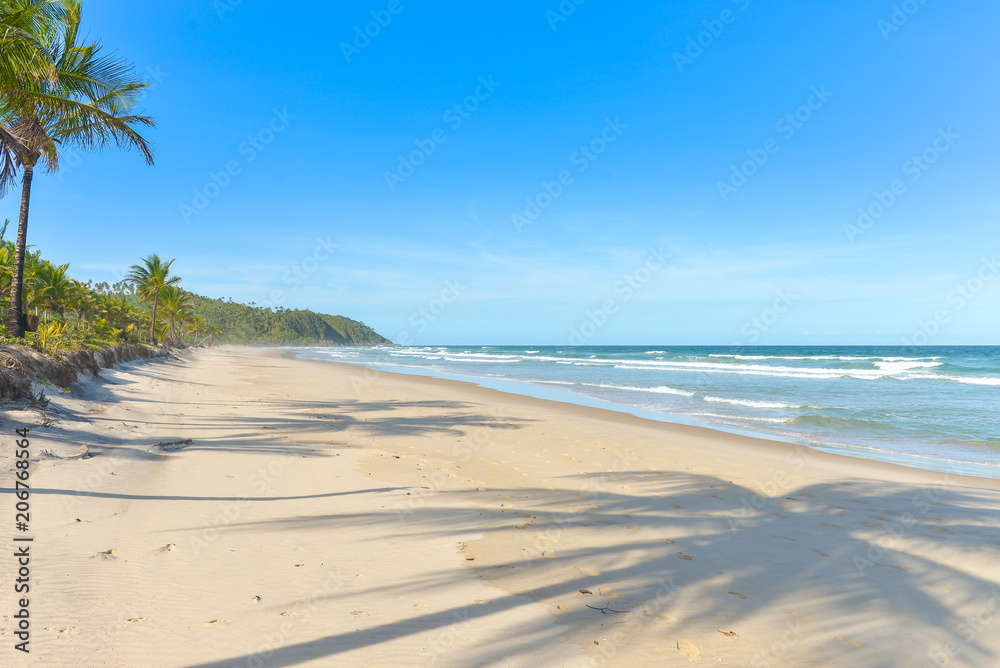 Palm tree shadow on beautiful sandy beach Palm tree shadow on beautiful sandy beach