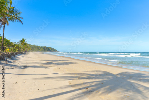 Fototapeta Naklejka Na Ścianę i Meble -  Palm tree shadow on beautiful sandy beach