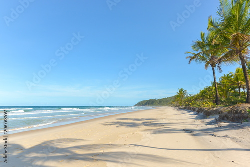 Fototapeta Naklejka Na Ścianę i Meble -  Palm tree shadow on beautiful sandy beach
