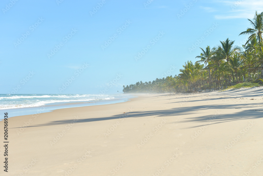 Beautiful yellow sand beach with palm trees Beautiful yellow sand beach with palm trees