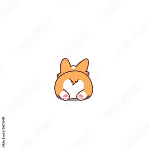 Cute corgi butt, vector illustration photo