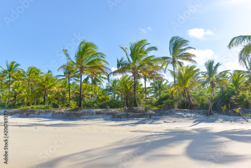 Palm tree shadow on beautiful sandy beach