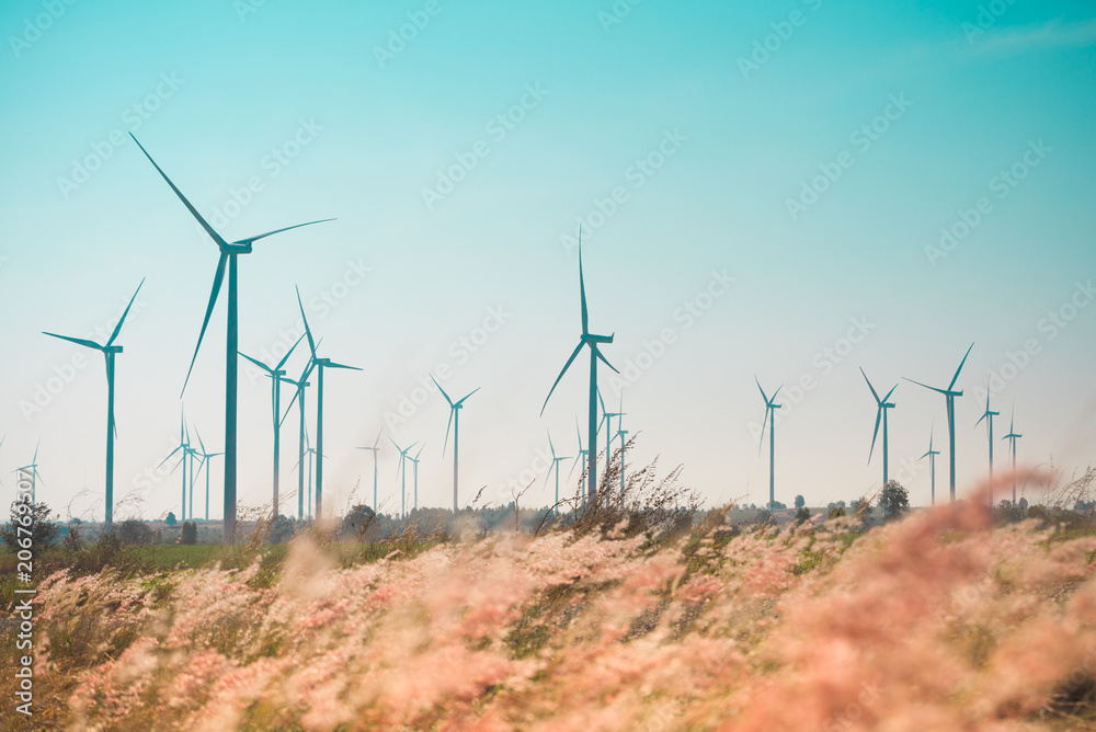 Wind turbines generating electricity with flower grass Wind turbines generating electricity with flower grass
