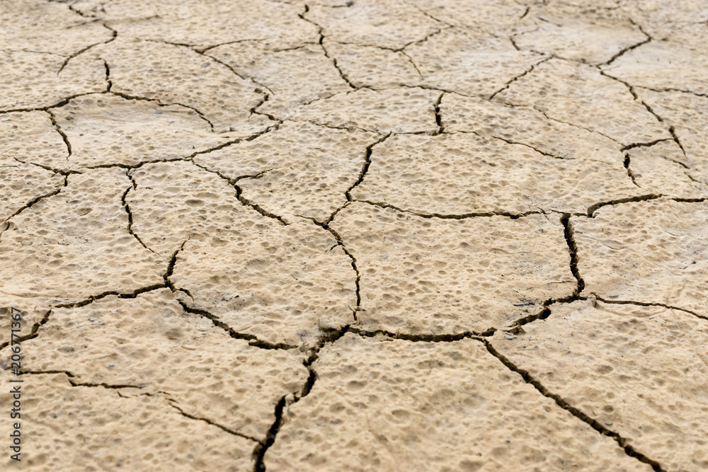 Crack of soil Crack of soil