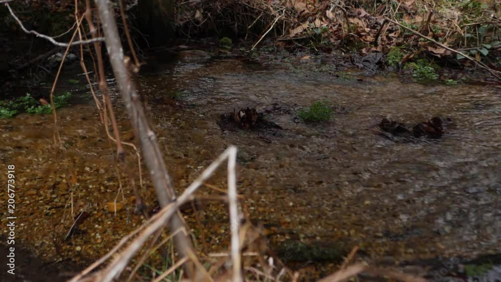 Stream running through grass and rocks. Slow motion. Stream running through grass and rocks. Slow motion.