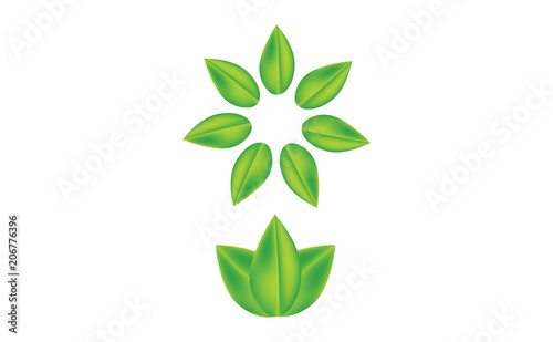 Herbal leaves