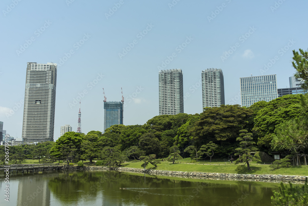 東京汐留の高層ビル群