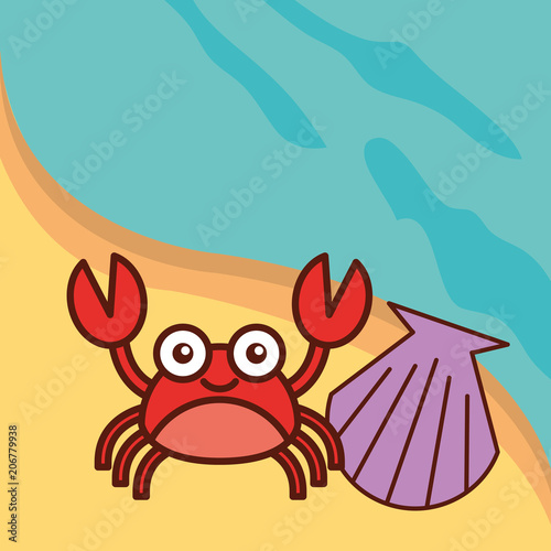 crab crustacean clam beach sea life cartoon vector illustration