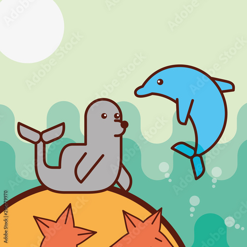 cetacean dolphin monk seal starfish sea life cartoon ocean vector illustration